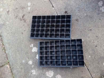 Photo of free Seed/plug trays (Eastbourne BN22) #1