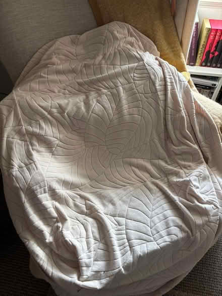 Photo of free Armchair cover (EH25, Roslin) #3