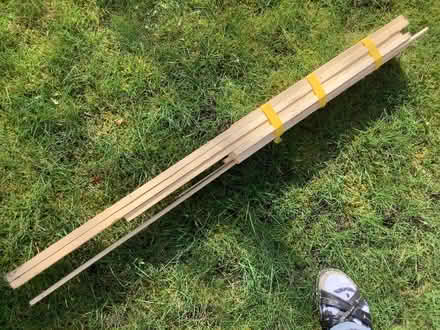 Photo of free Balsa wood pieces (Childwall L16) #2
