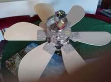 Photo of free Ceiling Fan (Keston BR2) #2