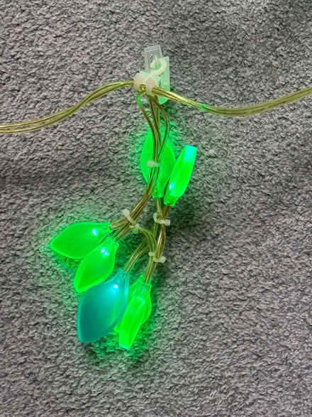 Photo of free Outdoor garden lights (Ealing W13) #1