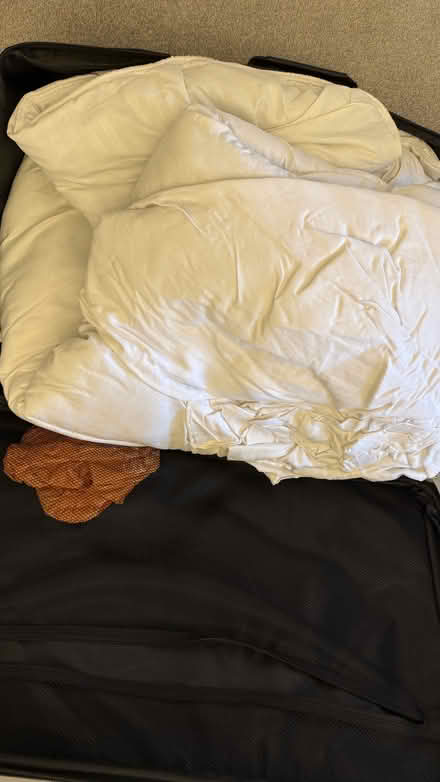 Photo of free Big Black suitcase with duvet (Townsend AL3) #2