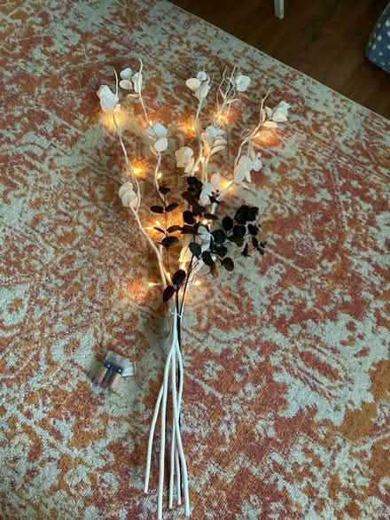Photo of free Tall rigid stem lights (Bedfont TW14) #2