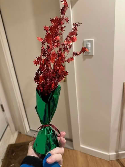 Photo of free Christmas ornaments (Arlington Center) #3