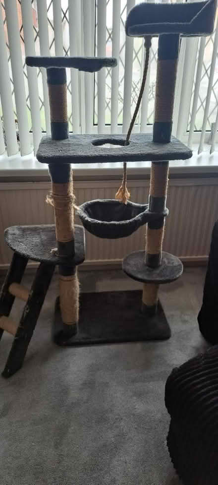 Photo of free Large Cat Post (Bramley S66) #4