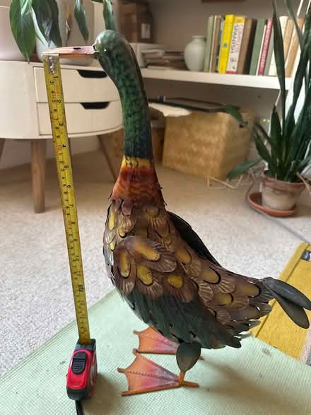 Photo of free Tin model of duck (Cotham BS2) #1