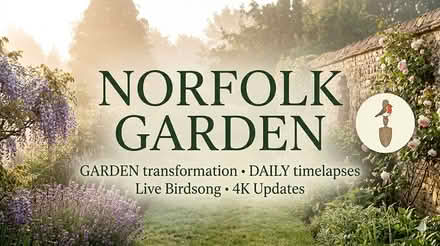 Photo of free Norfolk Garden (Grimston, PE32) #2
