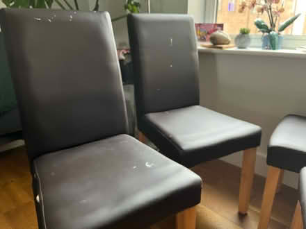 Photo of free 4 chairs (Borough, London) #2