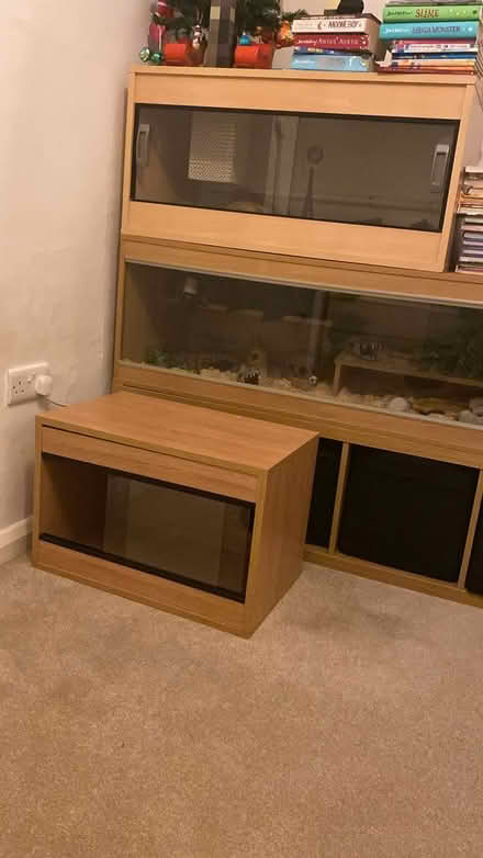 Photo of free 2 ft Oak Vivarium (Chicheley MK16) #1