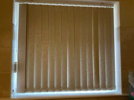 Photo of free Vertical blind (Little Plumstead NR13) #2