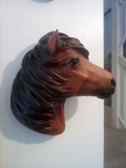 Photo of free 'orses 'eads (North Worle BS22) #2