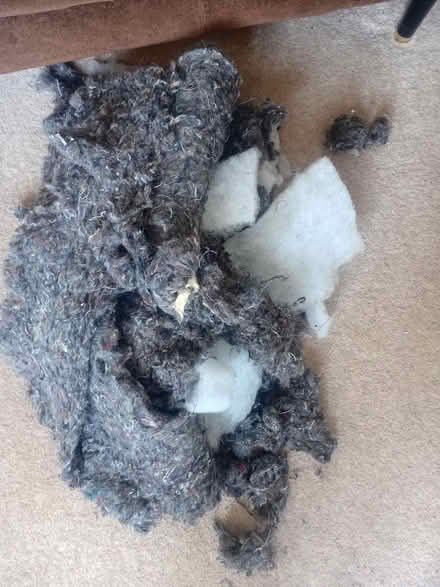 Photo of free Wadding/Stuffing (Kendal LA9) #1