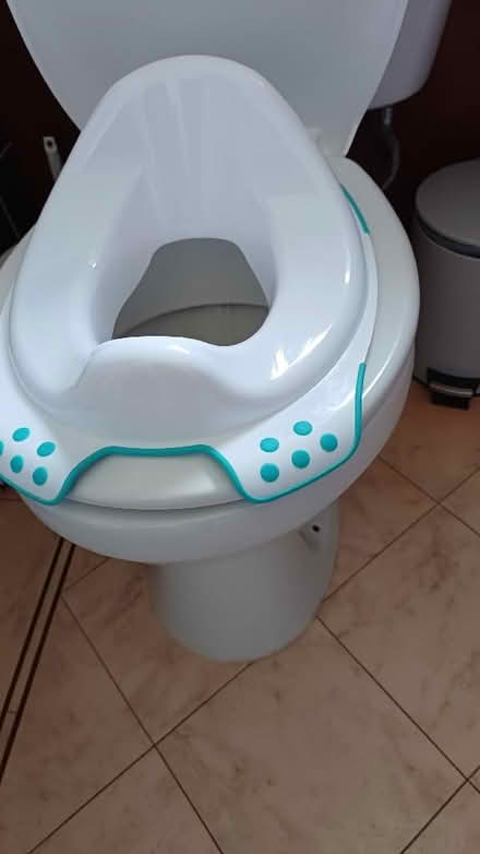 Photo of free Toddlers toilet seat (Theale RG7) #2