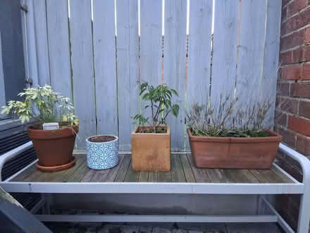 Photo of free 4 Ceramic plant pots (BT8) #1