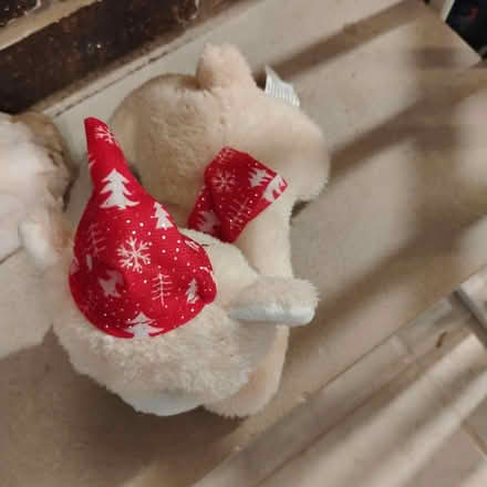 Photo of free Christmas Themed Stuffed Dog (Darien) #3