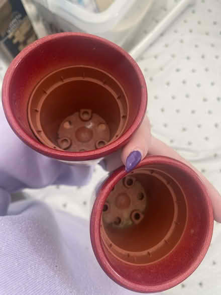 Photo of free 2 small, red plant pots (Ware SG12) #2
