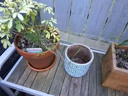 Photo of free 4 Ceramic plant pots (BT8) #2