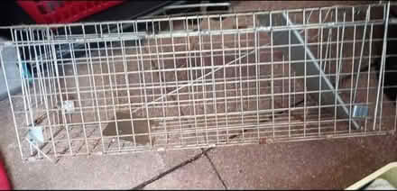 Photo of Rat trap (BS13) #1