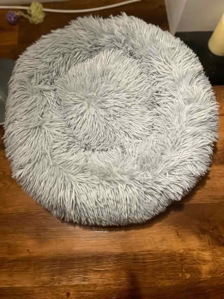 Photo of free Bed for a small dog or cat (Hoddesdon EN11) #2