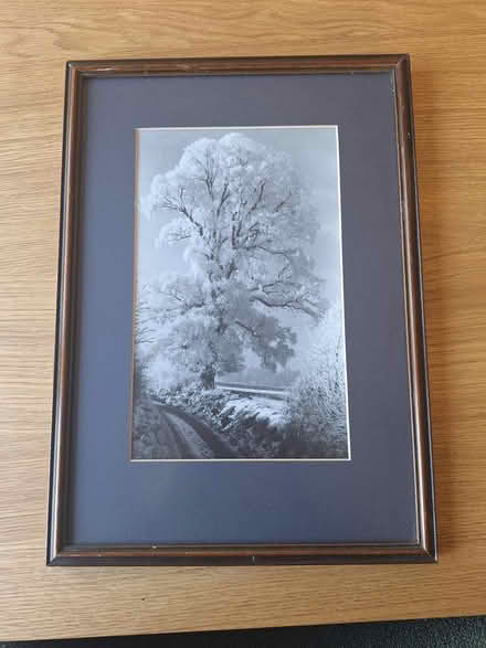 Photo of free Winter scene (photograph) (Bedhampton PO9) #1