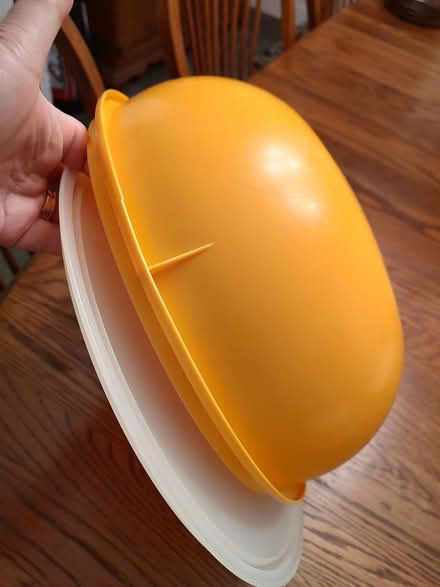 Photo of free LARGE Tupperware bowl (Odenton) #1