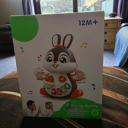 Photo of free New unused dancing bunny (Clive Vale TN35) #3