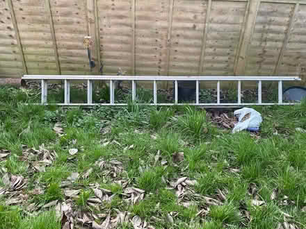 Photo of free 24 step double ladder there is no footer to it (Southborough TN4) #1