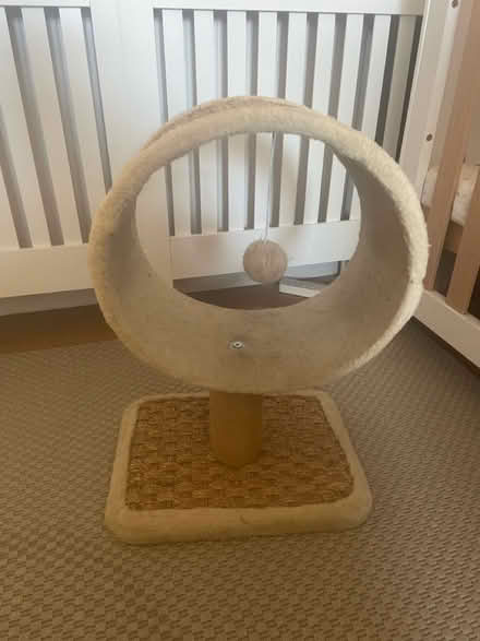 Photo of free Cat lounge toy with scratch mat (Pudsey, LS28) #4
