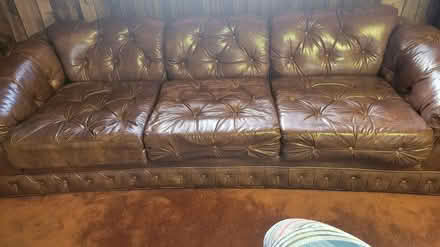 Photo of free F R E E on Arcturus (At 133rd/Van Ness in Gardena) #1