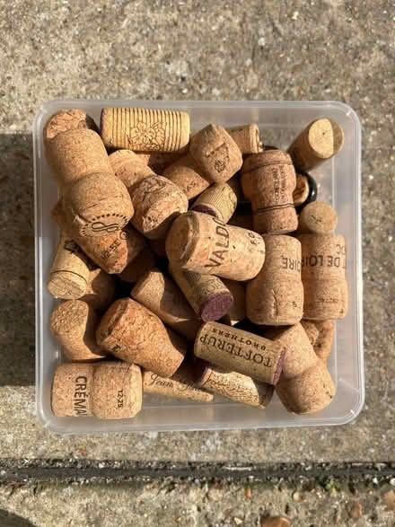 Photo of free Corks (Houndean Bottom BN7) #1