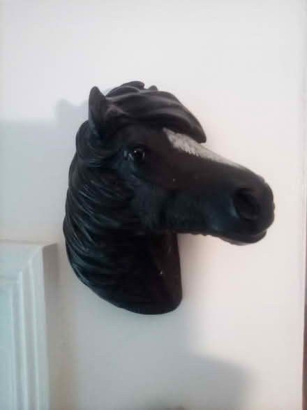 Photo of free 'orses 'eads (North Worle BS22) #3