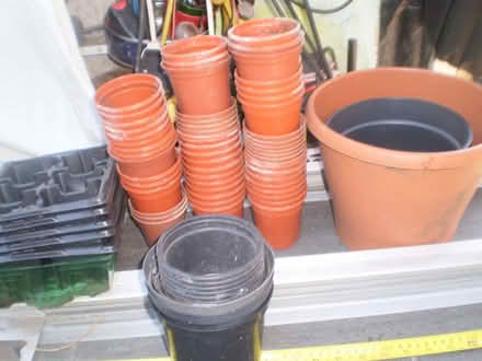 Photo of free Plastic Plantpots (Oxton CH43) #2