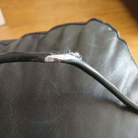 Photo of free Shark vacuum cleaner (Gillmoss L11) #4