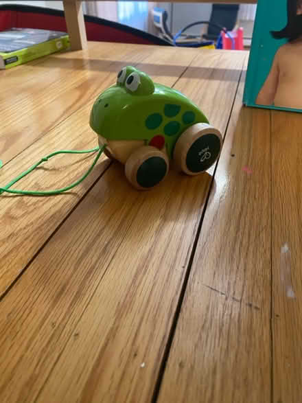 Photo of free Frog pull toy (Norristown) #1