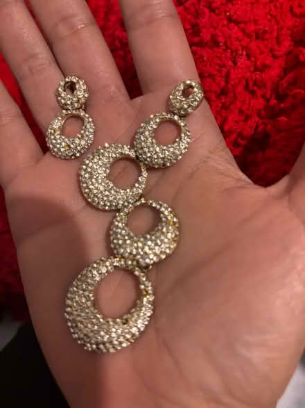 Photo of free Sequinned earrings (Wallands Park BN7) #1
