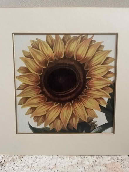 Photo of free 2 Art prints, mounted , unframed (Temple Street OX4) #2