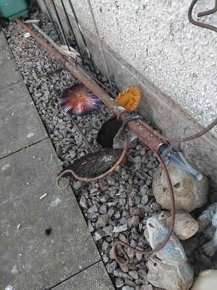 Photo of free Bird feeders (Portlethen) #1