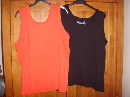 Photo of free 2 ladies summer cotton tops 28/30 can be smaller than shown (Durrington BN13) #1