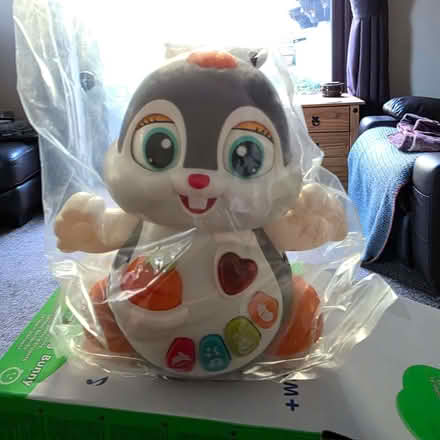 Photo of free New unused dancing bunny (Clive Vale TN35) #1