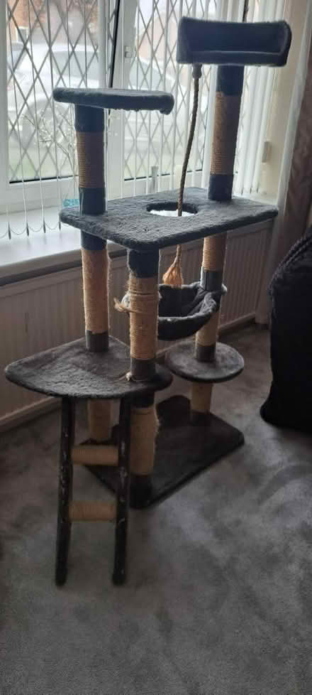 Photo of free Large Cat Post (Bramley S66) #1