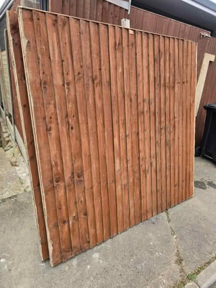 Photo of free Fence panels, stand size (Sg29nb) #1