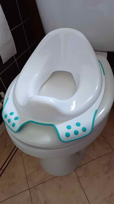Photo of free Toddlers toilet seat (Theale RG7) #1