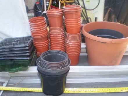 Photo of free Plastic Plantpots (Oxton CH43) #1