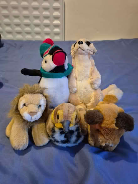 Photo of free Soft toy bundle (Station Area RG21) #1