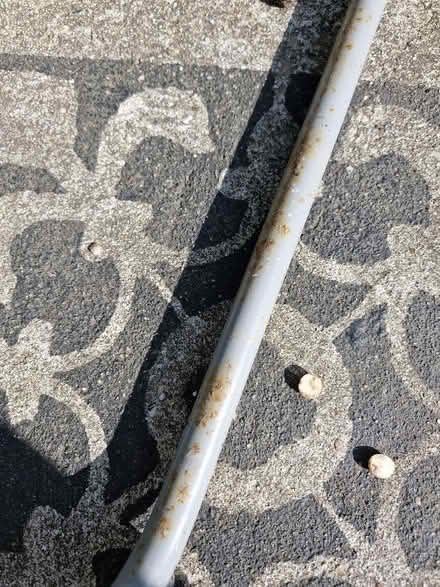 Photo of free 4 deck chairs (Boscombe BH7) #2