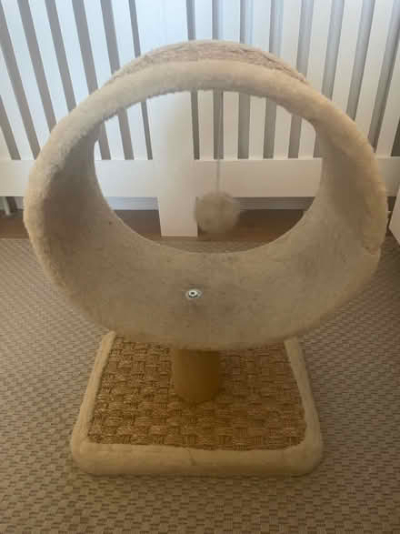 Photo of free Cat lounge toy with scratch mat (Pudsey, LS28) #1