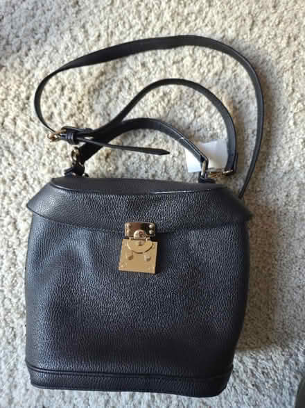 Photo of free Synthetic bag (Bernardo & Iowa, Sunnyvale) #1