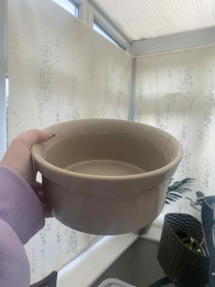 Photo of free Large ceramic pot (Ware SG12) #1