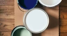 Photo of Paint (Penzance TR20) #1