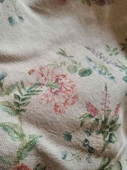 Photo of free Beige and floral upholstery fabric (Hove BN3) #3